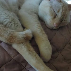 Meet your Posher, Cathy